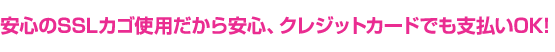 安心のSSLカゴ使用だから安心、クレジットカードでも支払いOK!